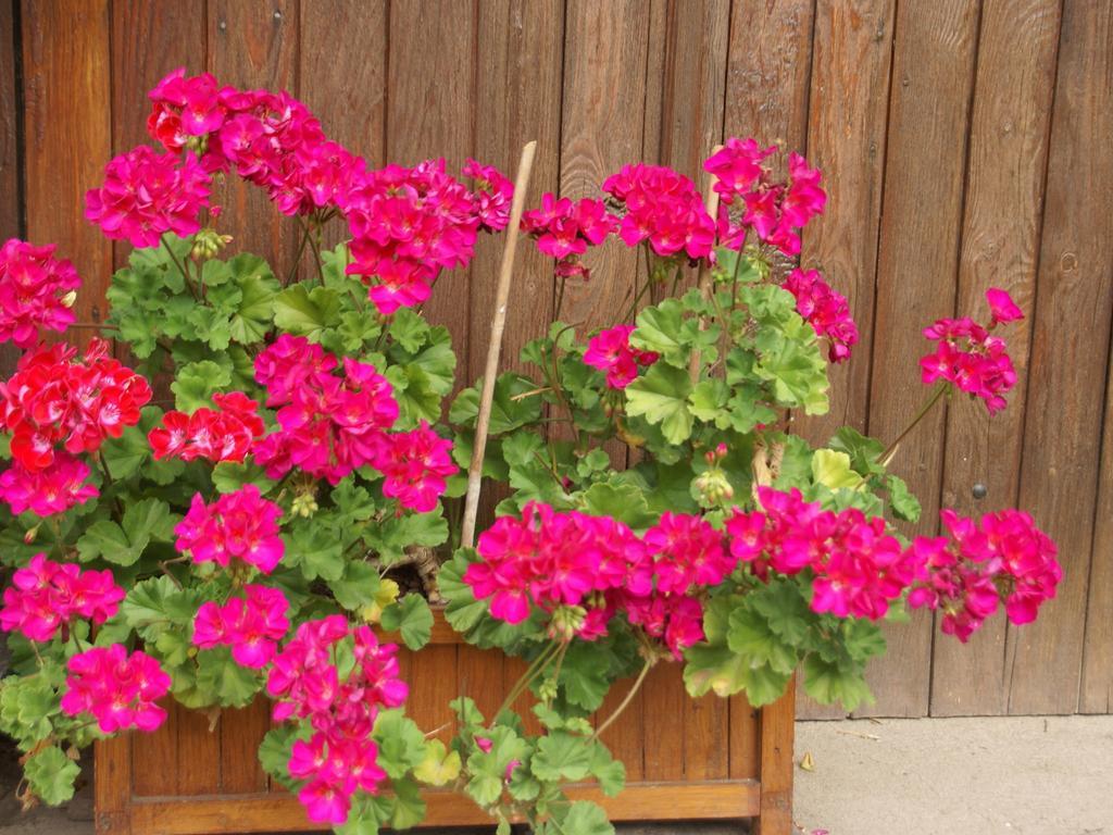 Holiday Home Near Chapelle Aux Bois Bains-les-Bains Zewnętrze zdjęcie
